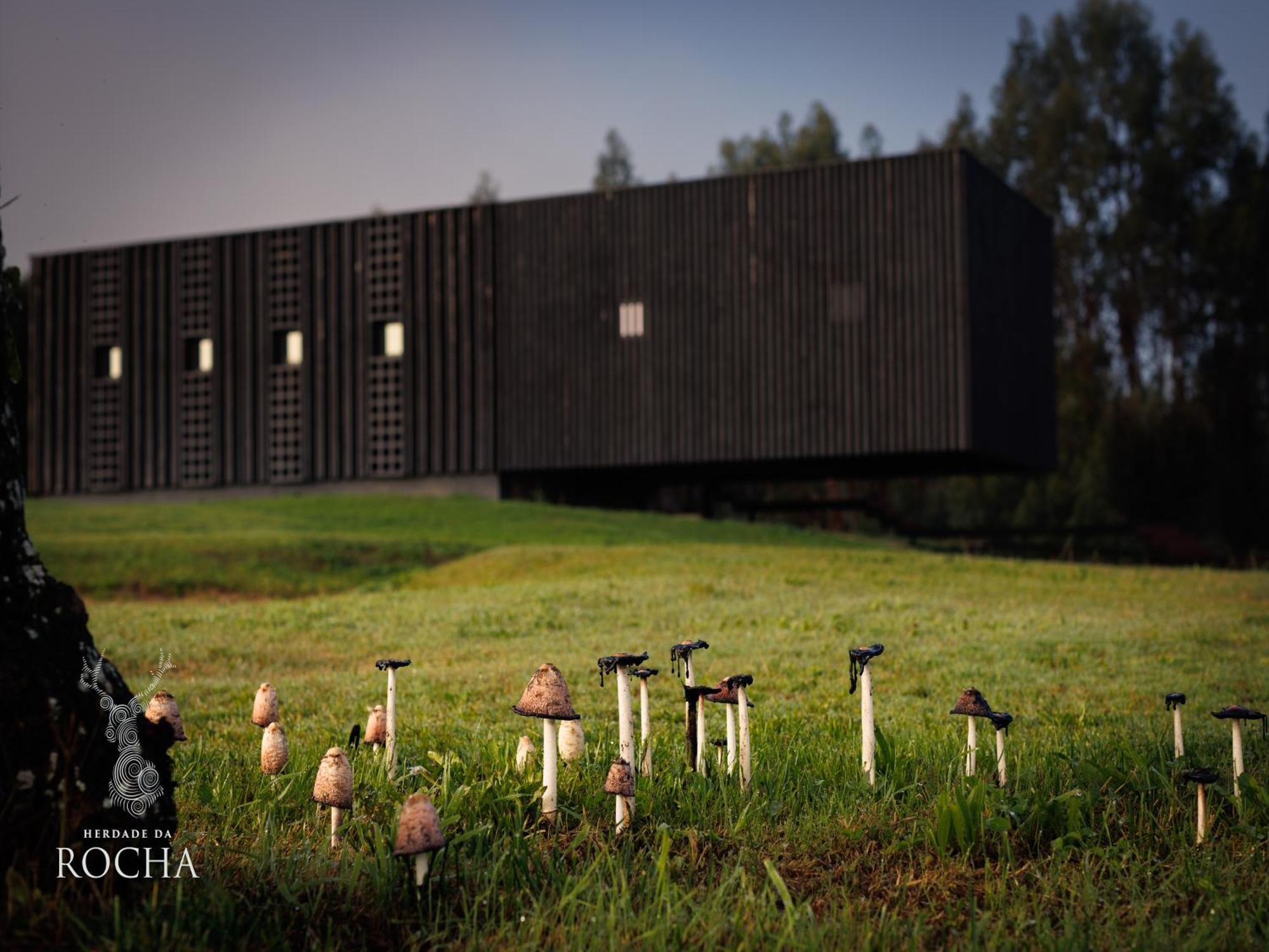 Herdade Da Rocha - Boutique Lodge กราโต ภายนอก รูปภาพ